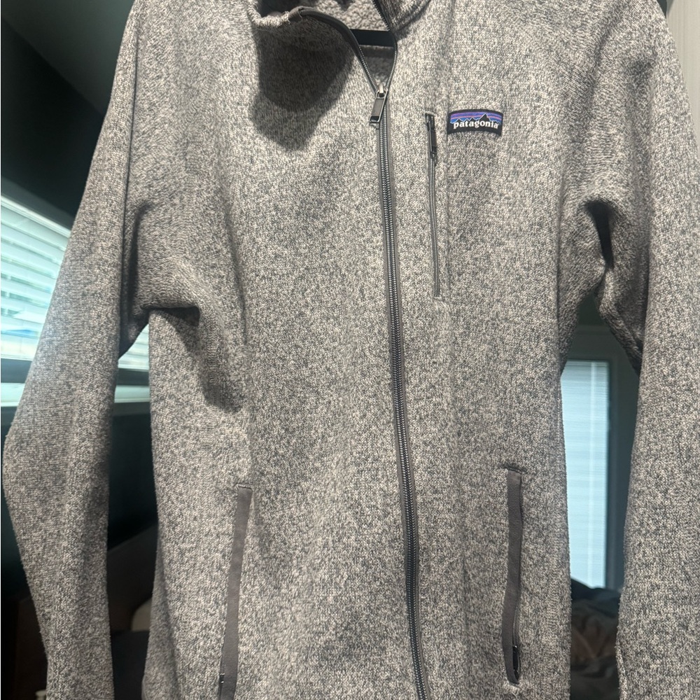 Patagonia Fleece Jacket in Gray